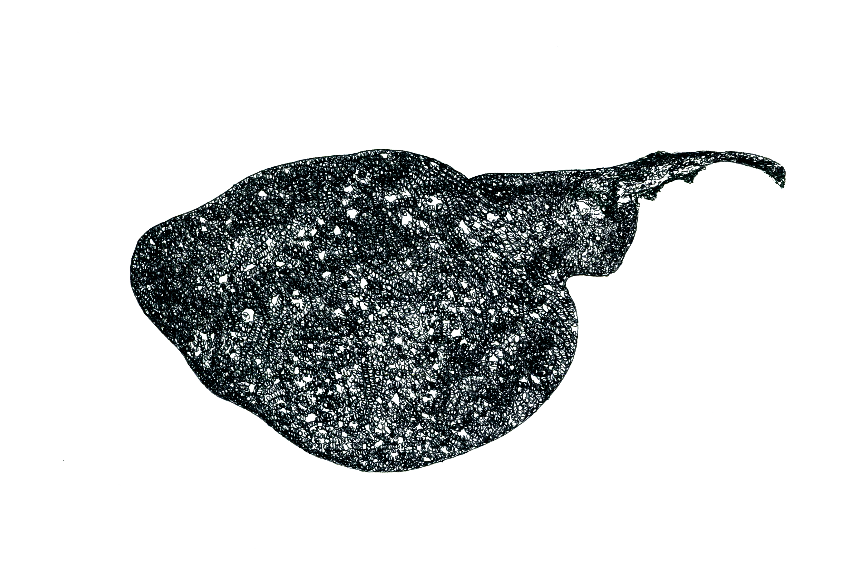 Especies peligrosas